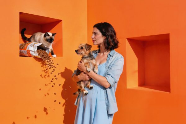 galeria sudecka przyjazna zwierzętom