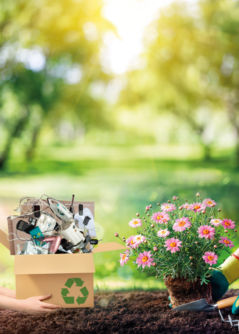 kwiaty za surowce wtórne eko akcja galeria sudecka