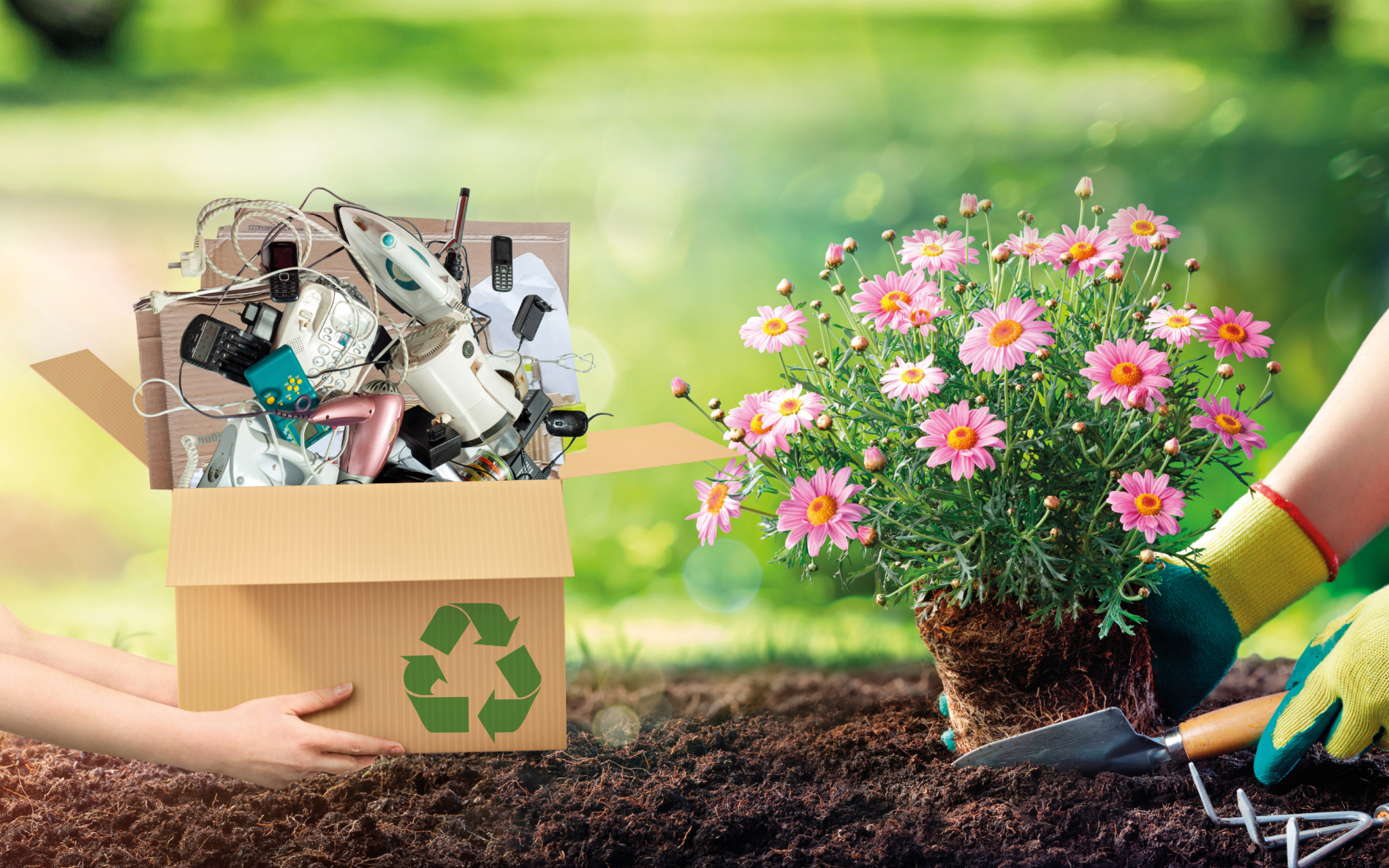 kwiaty za surowce wtórne eko akcja galeria sudecka