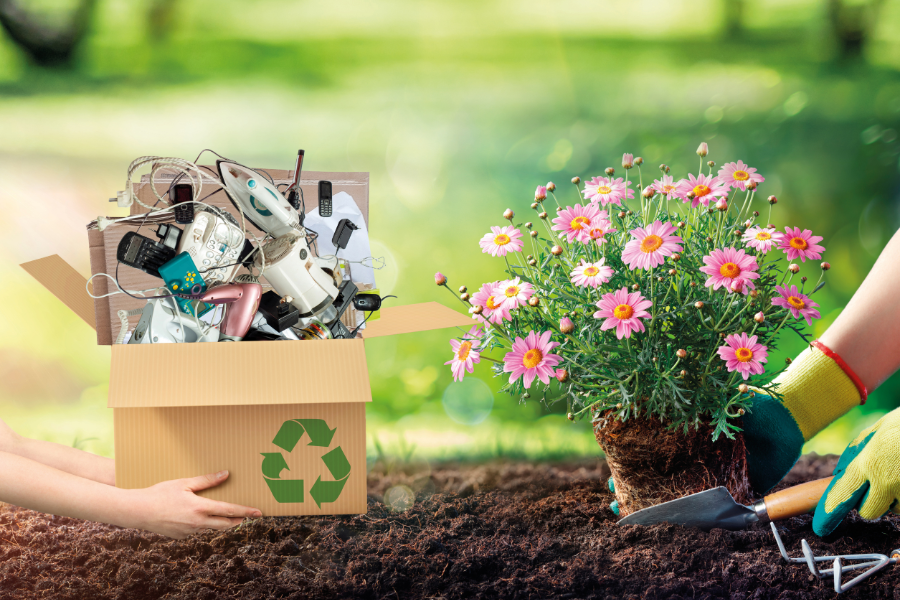 kwiaty za surowce wtórne eko akcja galeria sudecka